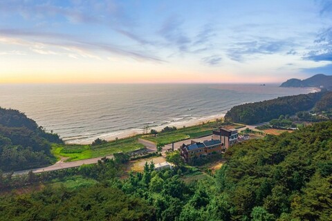 태안(안면도) 밧개오션펜션