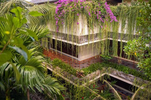 코마네카 라사 사양 