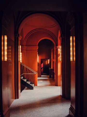 더 컴패니언 비엔나