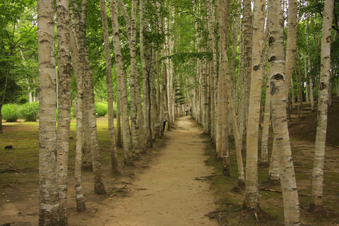 product-thumbnail-4
