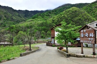 제천 월악들국화펜션