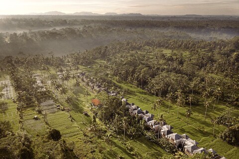 카스타나 하디 테갈랄랑, 우붓