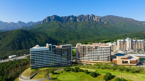 소노펠리체 델피노