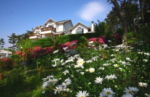 태안 쁘띠메종펜션