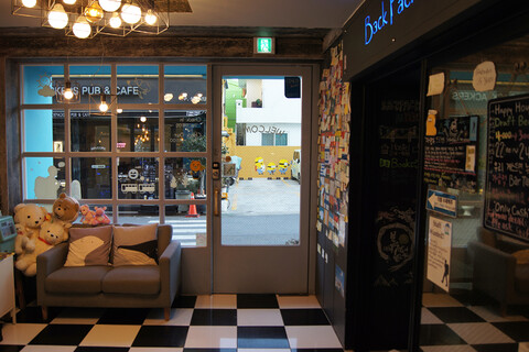 백패커스인여수 게스트하우스