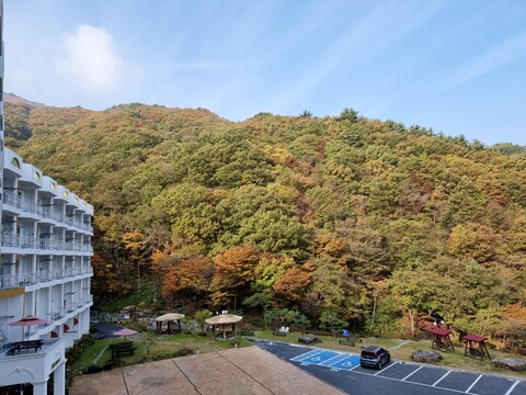 구례 준성리조트