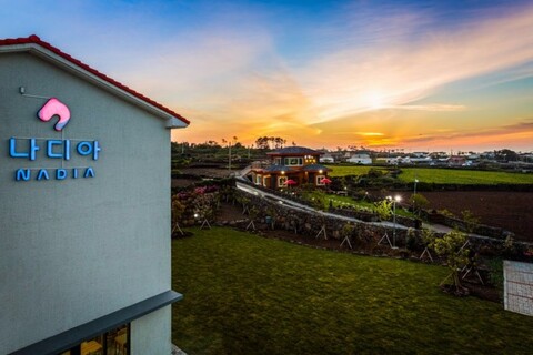 제주 나디아펜션