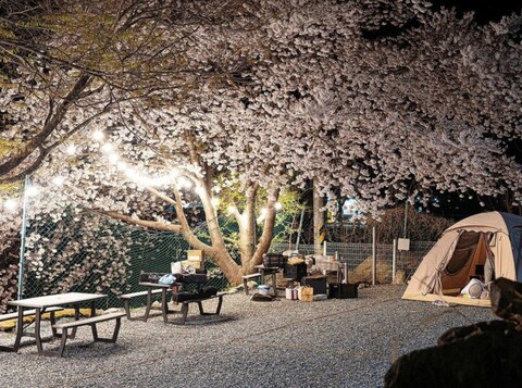 청도 돌담집펜션