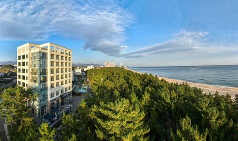 호텔하운드 강릉경포