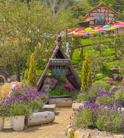 포천 허브아일랜드펜션