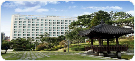 라한 울산 특가
