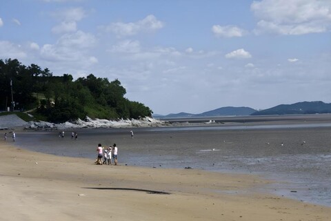 웨이브 게스트하우스