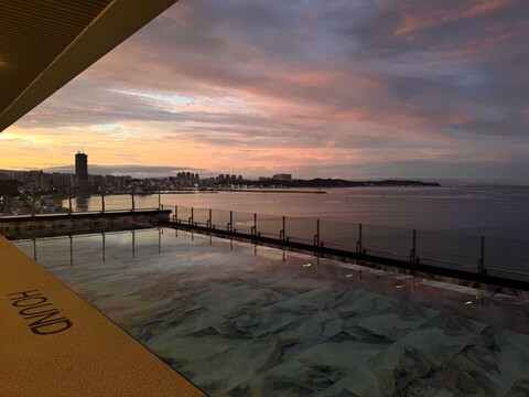 포항 하운드 포항송도해수욕장