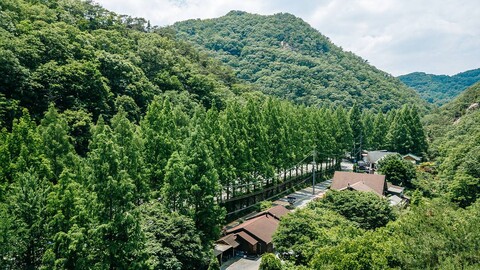 대전 장태산루체펜션