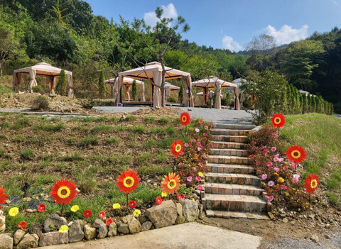 예산 다온팜캠핑장