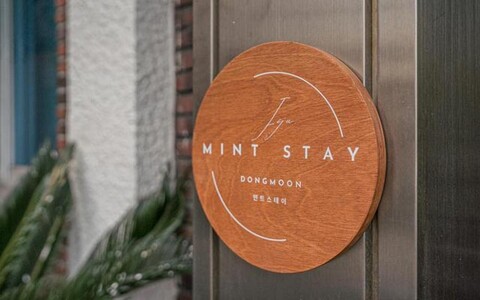 민트 스테이