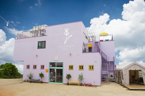 대부도(선재도) 라벤더데이펜션