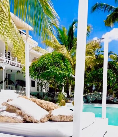 Cocoon Signature Palm Tree Garden