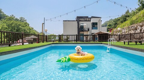 가평 샤갈 애견동반 스파 펜션