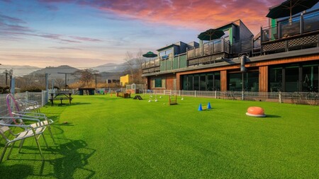 가평 모나코애견펜션