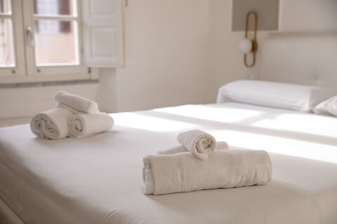 바티카노 벤티친퀘 게스트 하우스