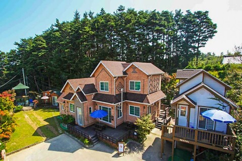 양양 피노트리펜션