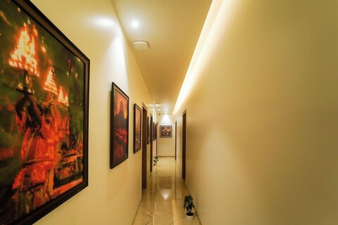 슈거 스타스 인