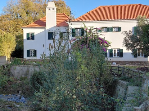 에스탈라젬 드 콜라레스