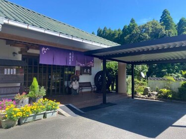 霧島花紫