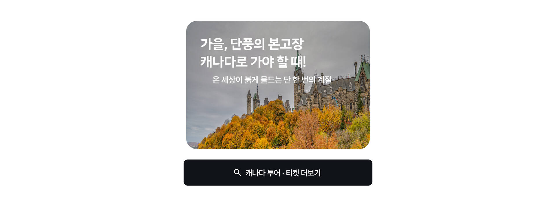 PC_21.jpg (16/17)