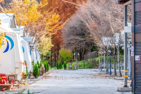 대전 꿈꾸는 농부 캠핑장