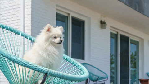 양양 해뜨는바다 오션뷰 펜션