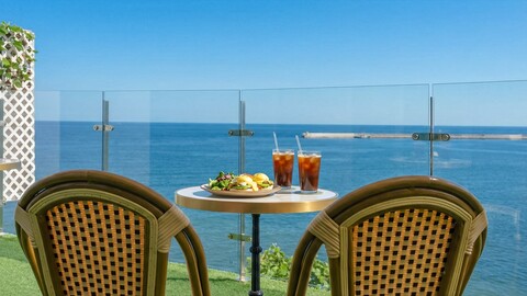 삼척 피스하우징스파애견펜션