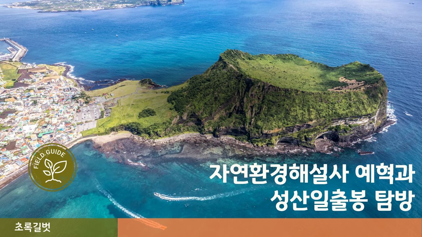 투어·티켓 상품