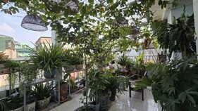 alleyhome Trần Đại Nghĩa