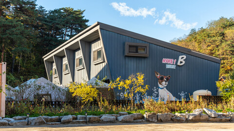 강릉 나인원 애견펜션