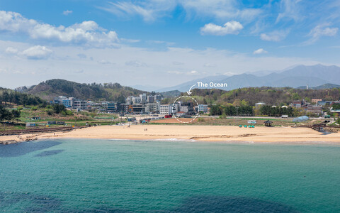 속초 디오션펜션