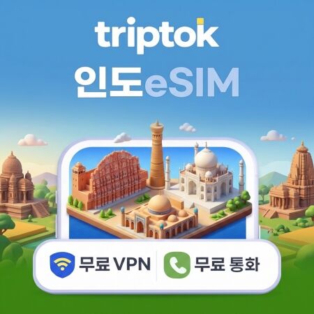 인도 전지역 델리 eSIM e심 데이터-i