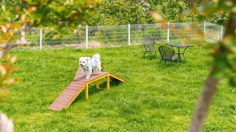 양양 몬띠애견스파펜션