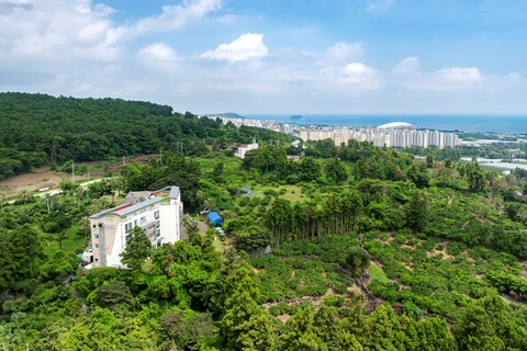 제주 엠 리조트