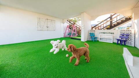 태안 황도일마레펜션