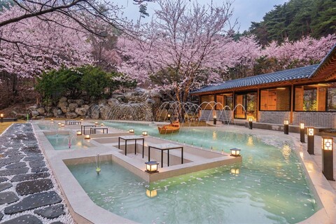 연화문호텔 양양