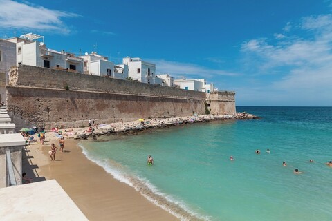 팔라조 피스카이올로