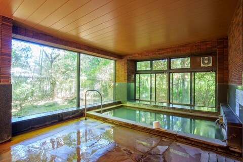 코즈카 히사노하