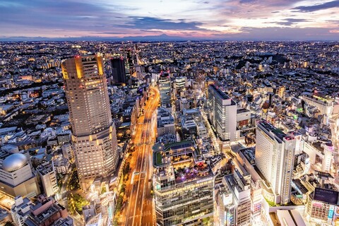 세룰리언 타워 도큐 호텔