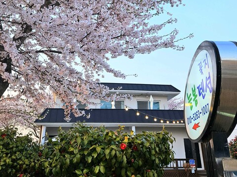 태안(안면도) 꽃지늘봄펜션