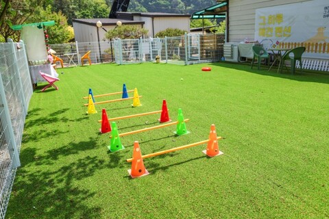 가평 그하루 애견펜션