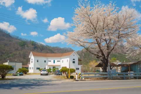 단양 마음을여는풍경펜션