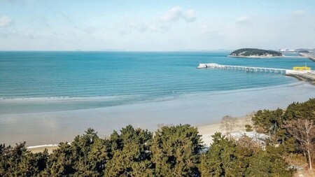 보령 솔밭해안가펜션