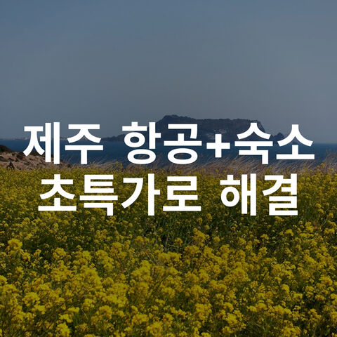 제주 특가